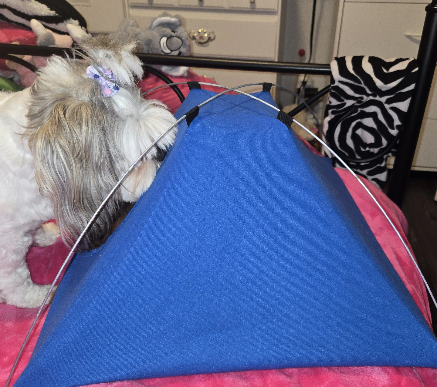 Blue Pet Tent Bed - photo 2