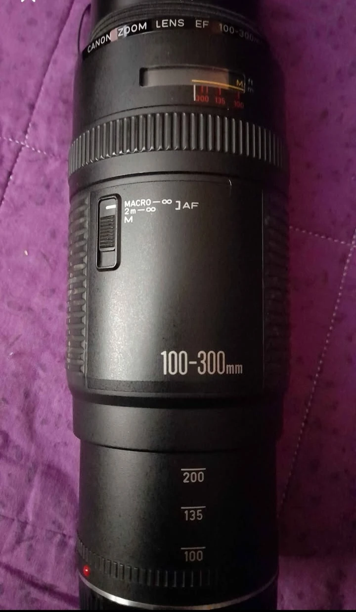 Canon Zoom Lens EF 100-300mm - photo 2