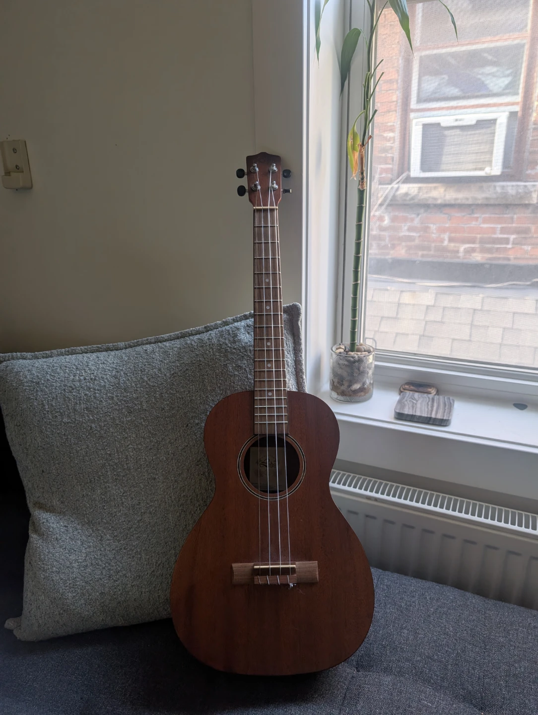 Baritone ukulele & case