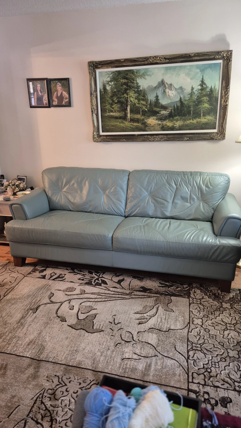 Chateau d'Ax leather sofa 🏈
