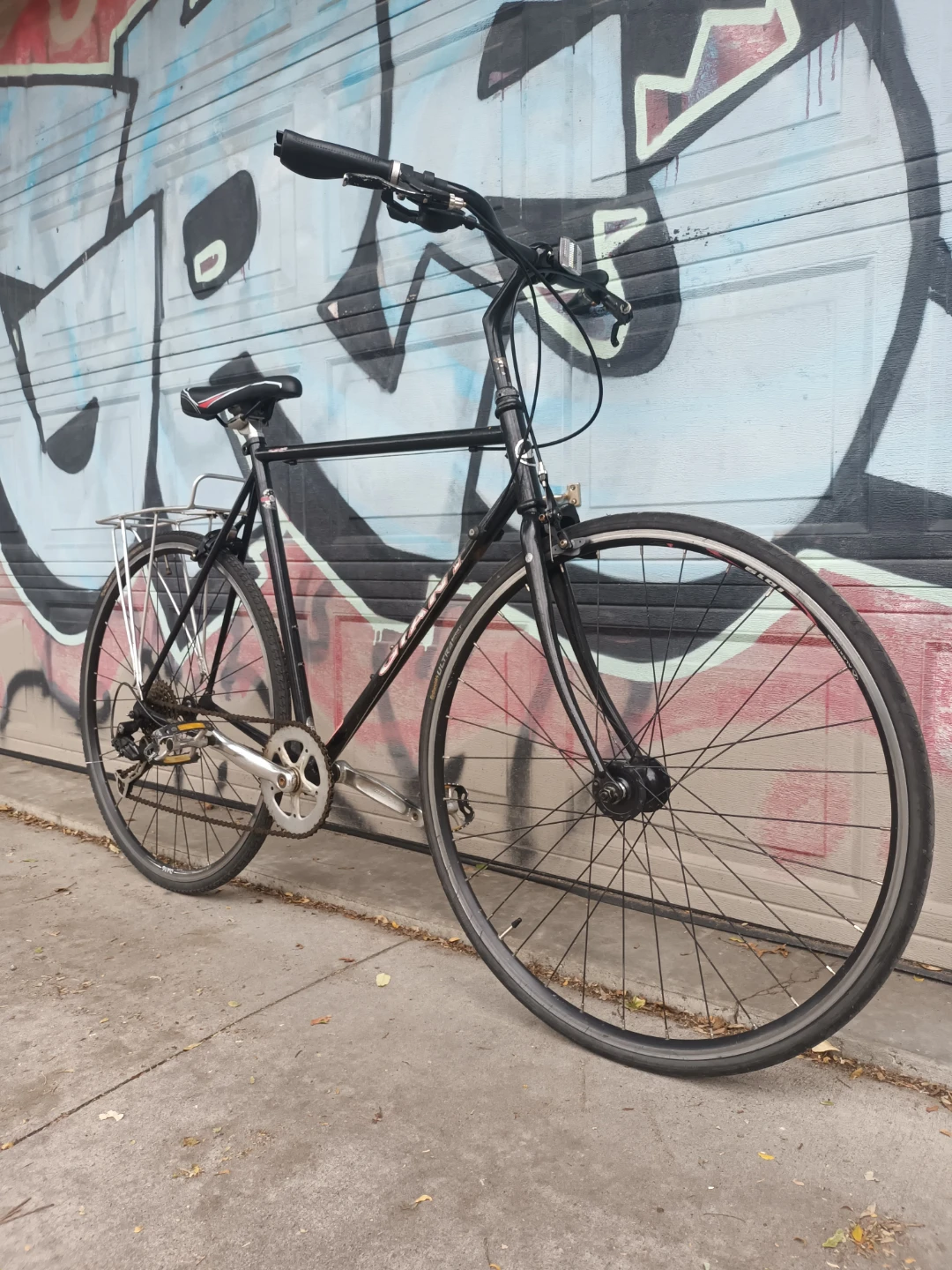 Giant Kronos Bike