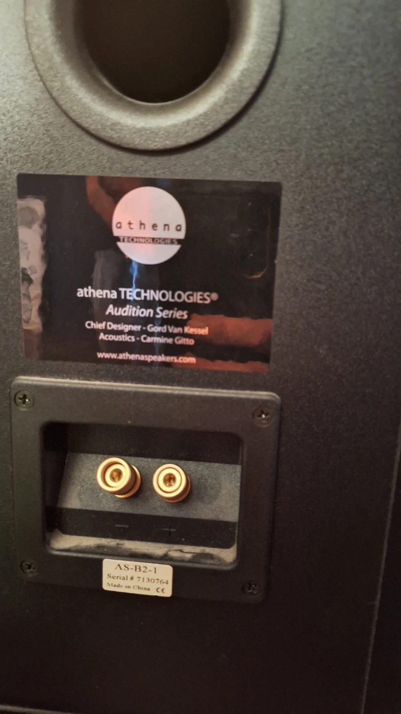 Athena Technologies AS-B2-1 Bookshelf Speakers - photo 3