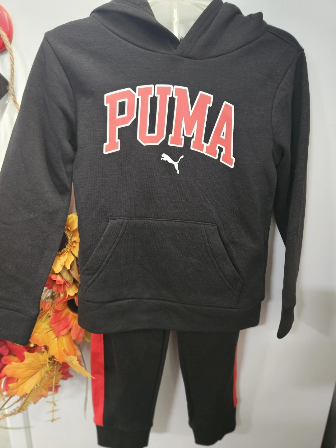 Puma 2-Piece Hoodie and Jogger Set