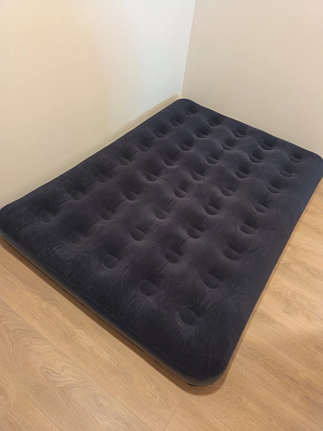Double Air Mattress + Electric Pump