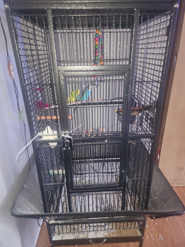 Tall Black Metal Bird Cage with Accessories - photo 3