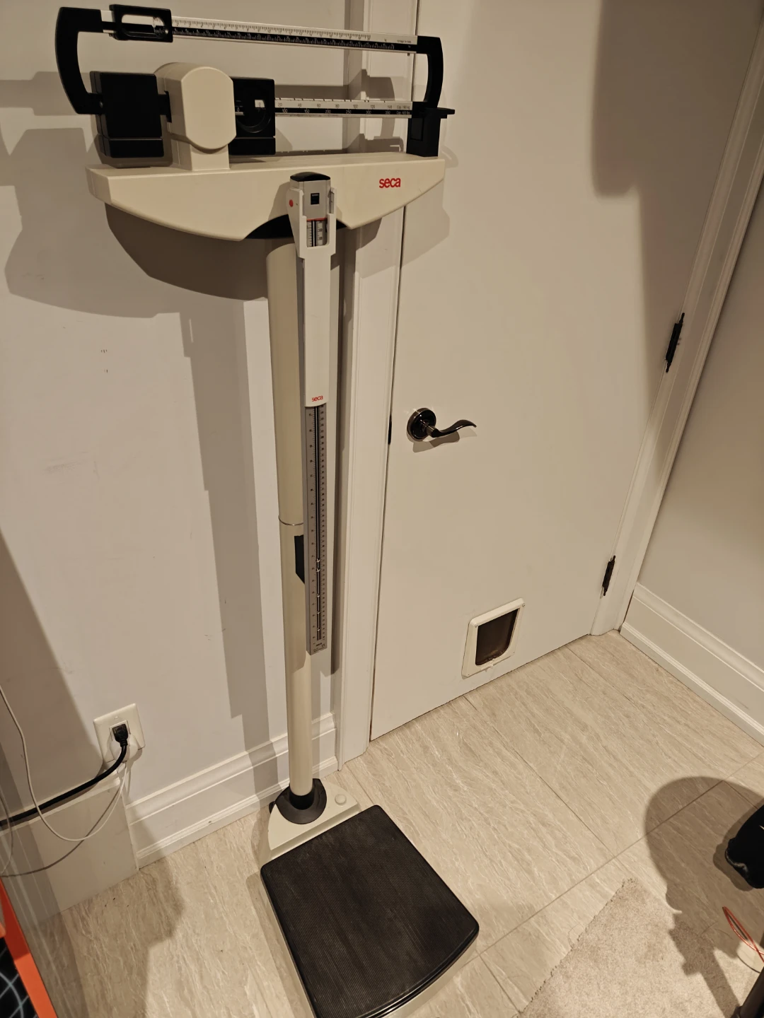 Seca doctor's scale