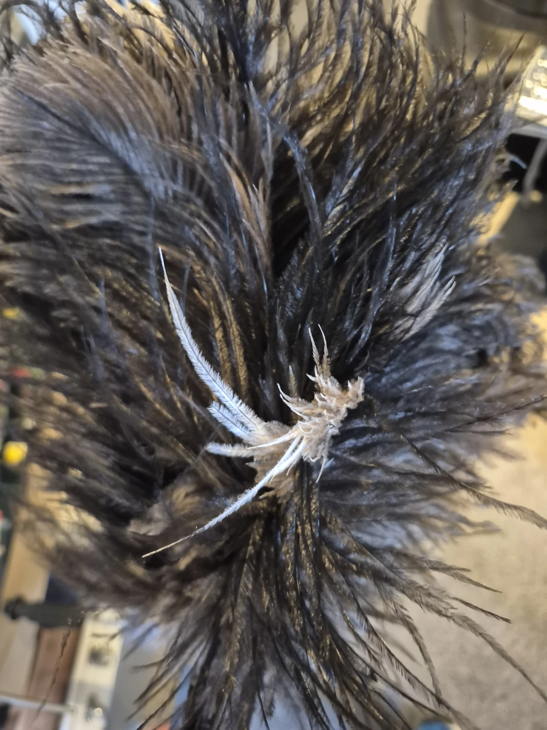 Decorative Ostrich Feather Piece - photo 3