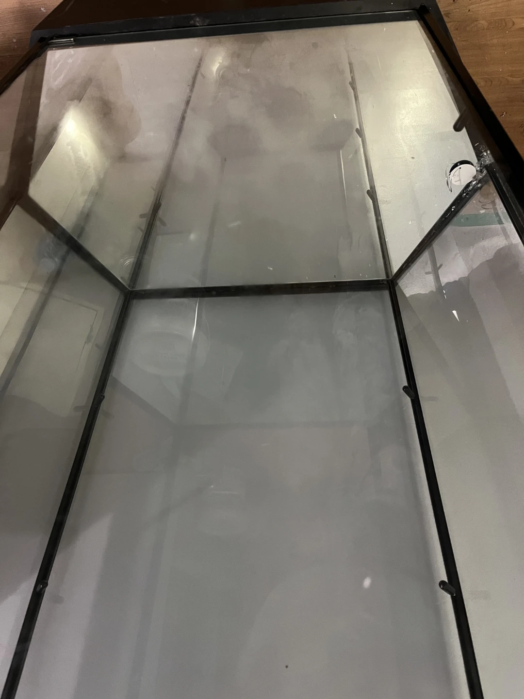 Tall Black Glass Display Case with Integrated Lighting - photo 2