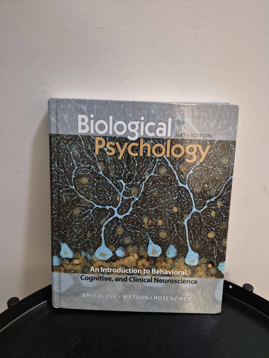 Biological Psychology Sixth Edition Textbook