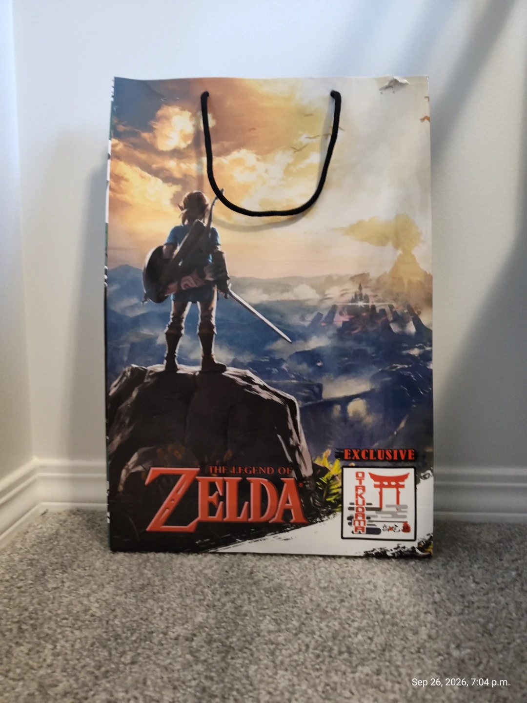 Legend of Zelda mystery blind bag!