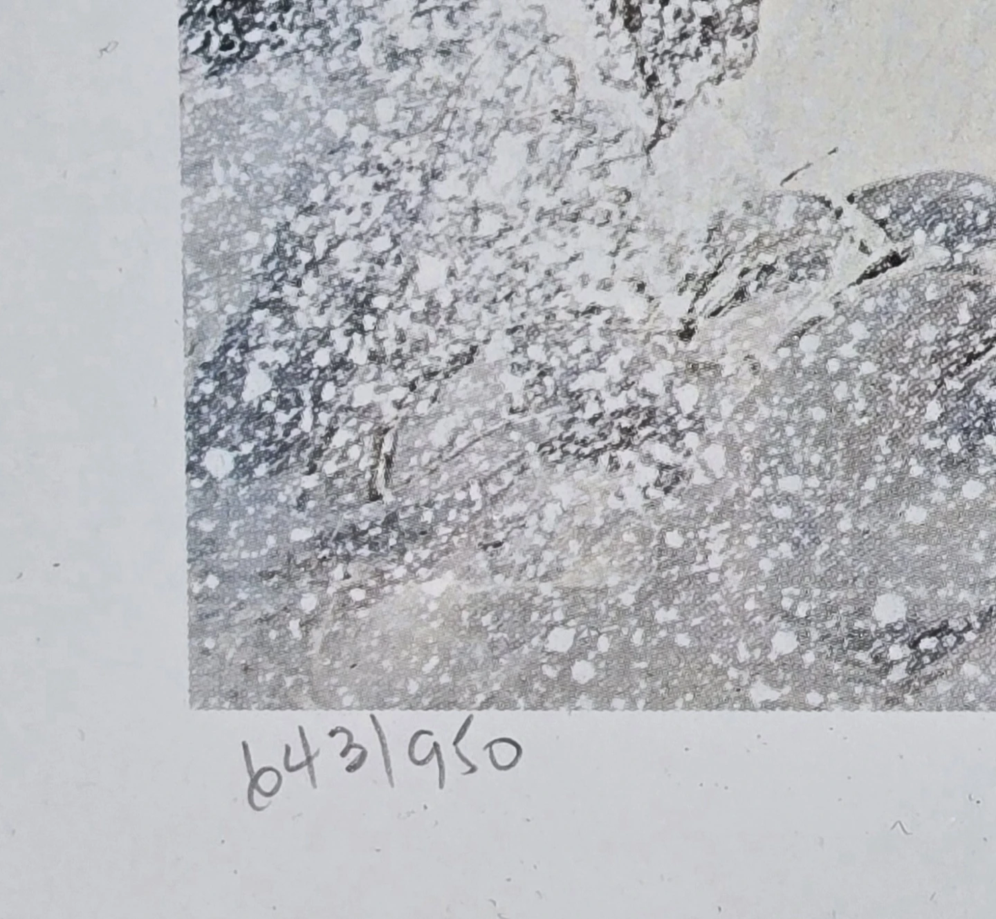 Georgia Jarvis Signed/Editioned Framed Print #643/950 - photo 5