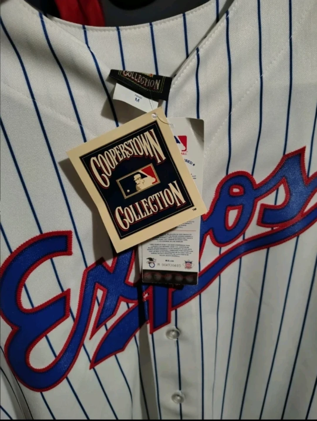 VTG 90s MONTREAL EXPOS RUSSELL BASEBALL JERSEY SIZE M - photo 3