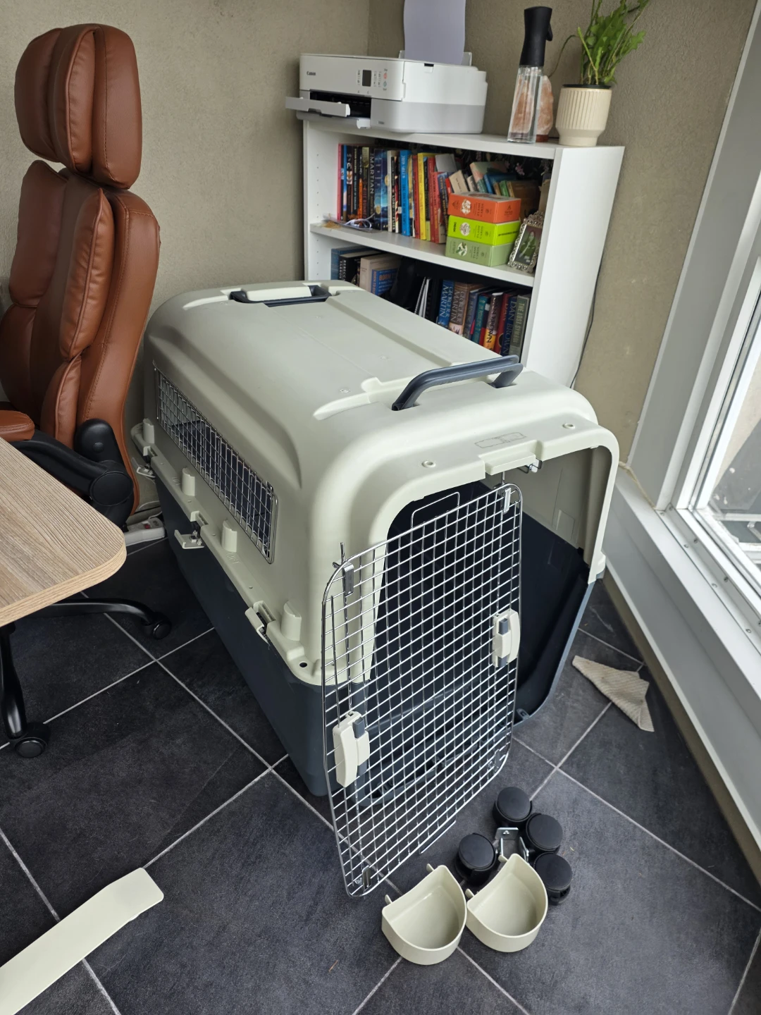 Large Hard-Sided Pet Travel Carrier with Wheels