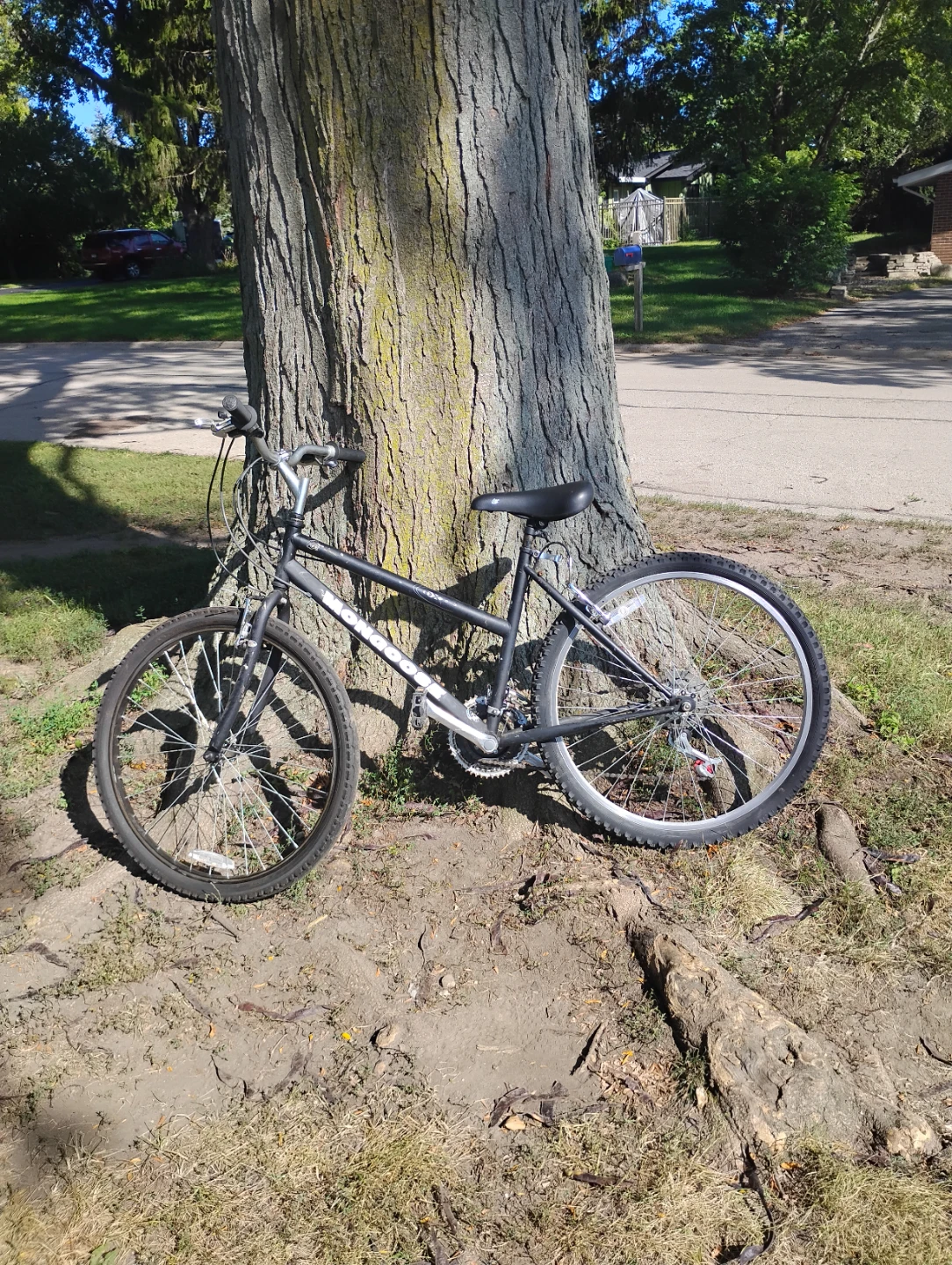 Mongoose Mountain Bike