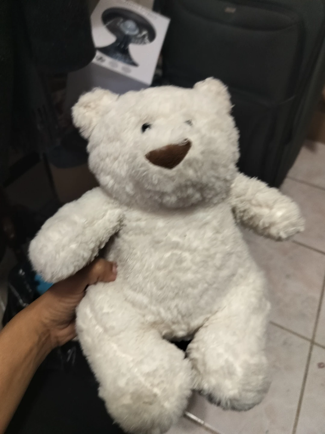 🏈 White Plush Teddy Bear