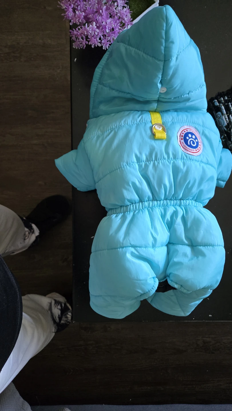 Winter suit