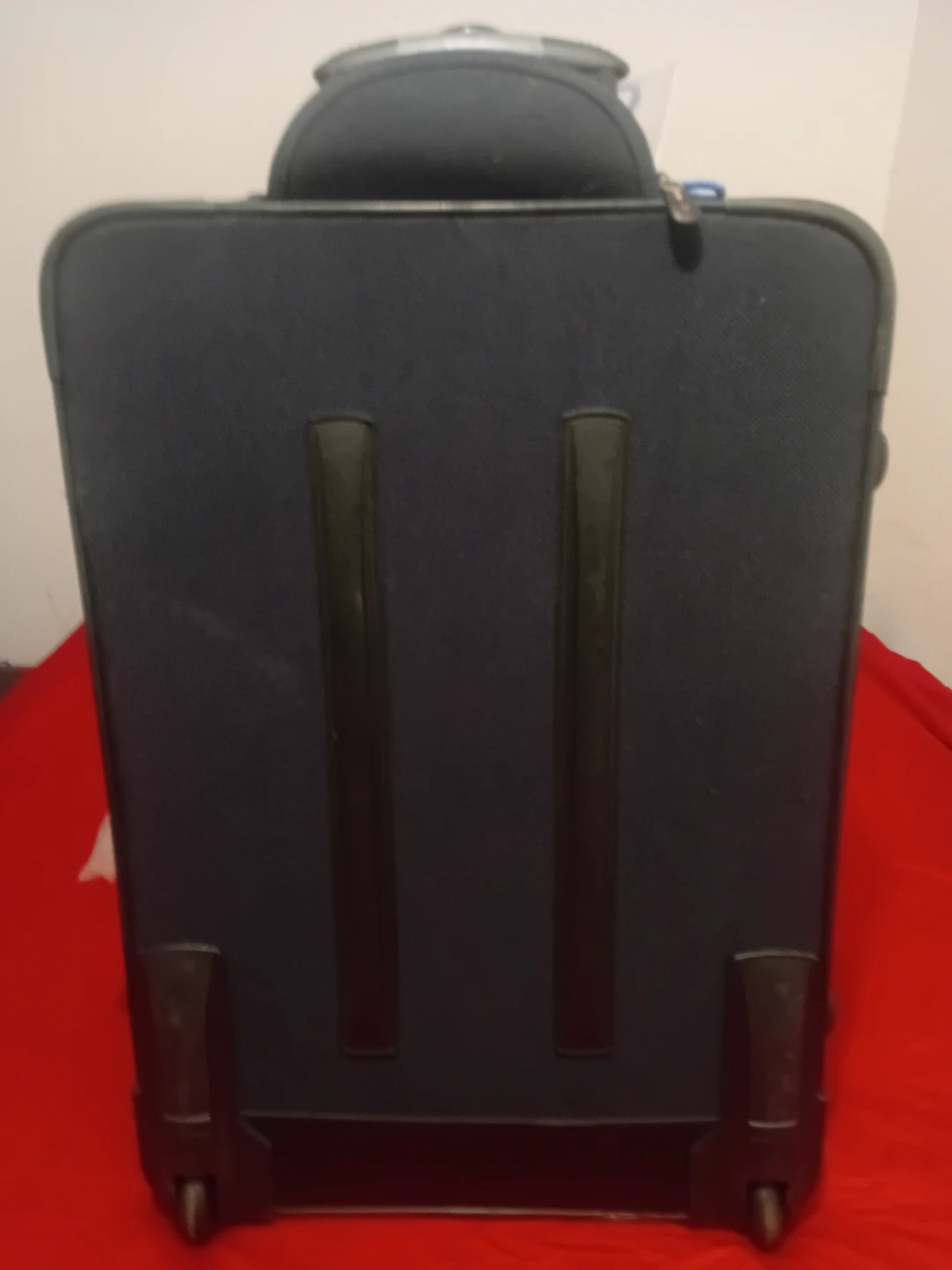 Ricardo Suitcase - photo 4