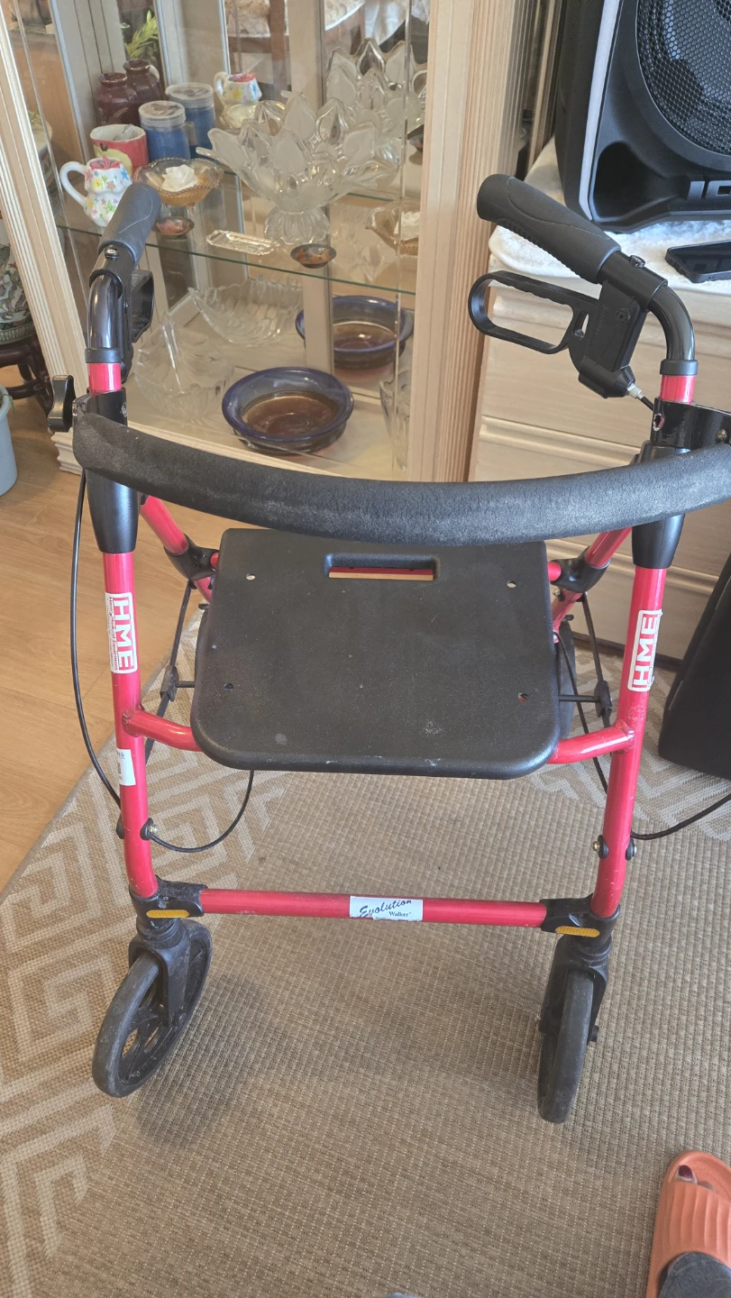 HME Evolution Walker - photo 3
