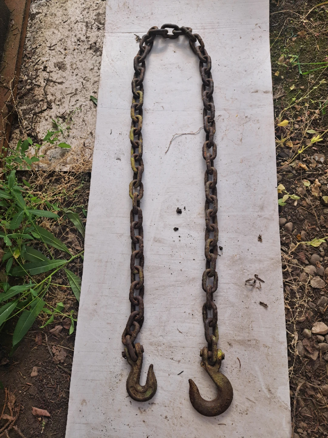 Chains and load binder - photo 2