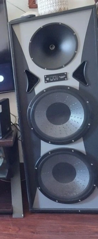Pair of Large Floor Standing Speakers - photo 2
