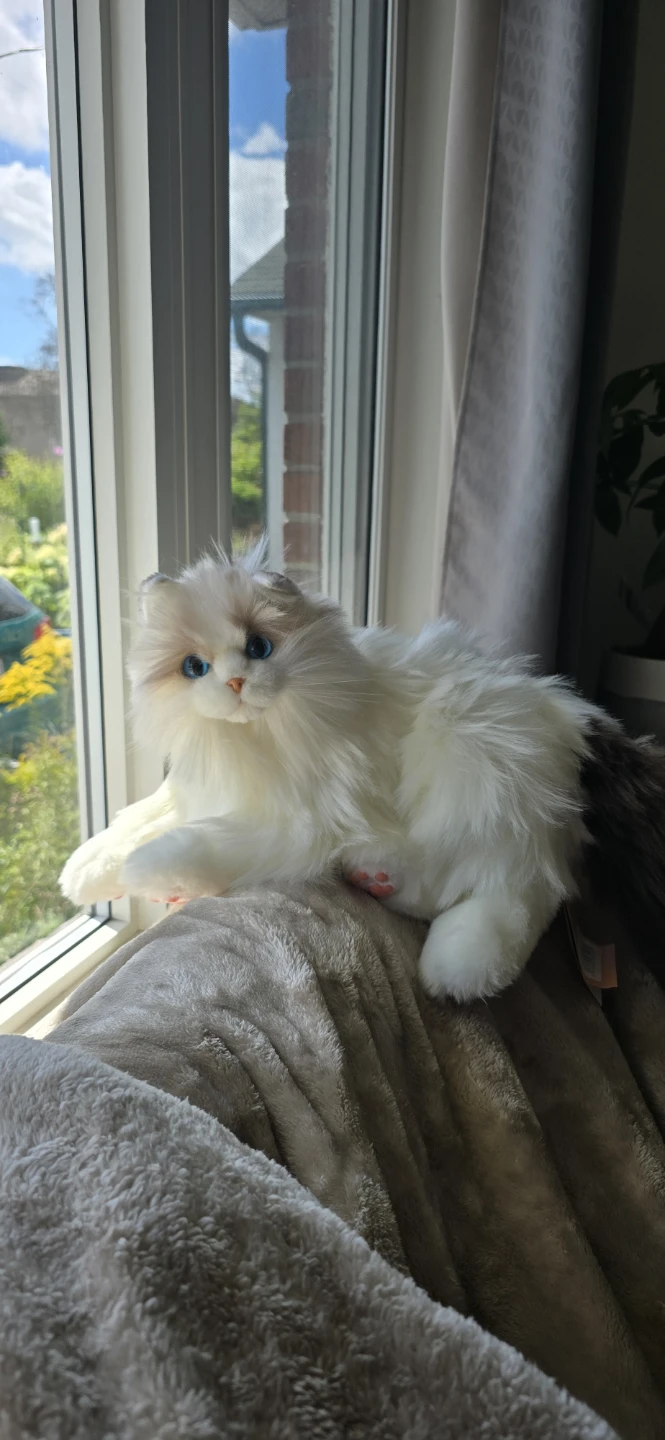 Chongker Weighted Ragdoll Cat Plush Toy 3.3lbs - photo 4
