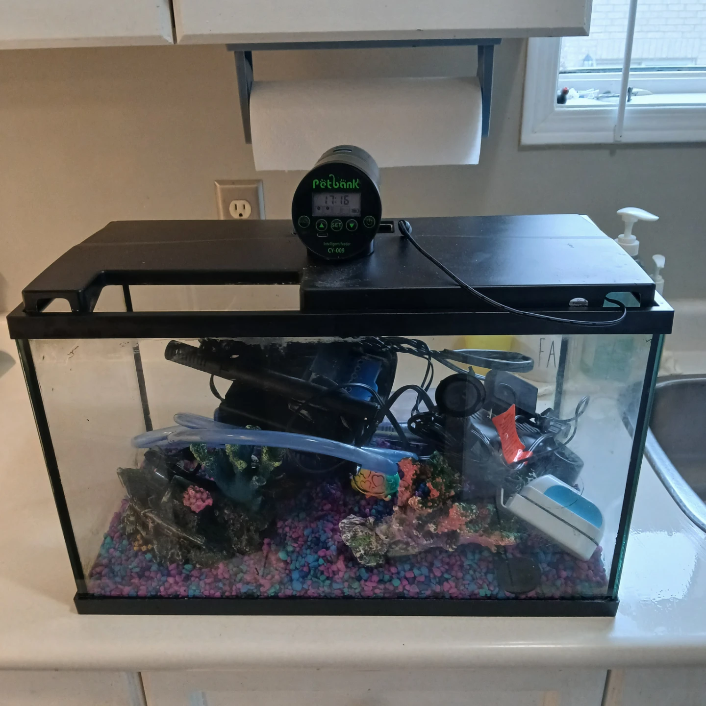 Fish Tank with Filter - photo 3