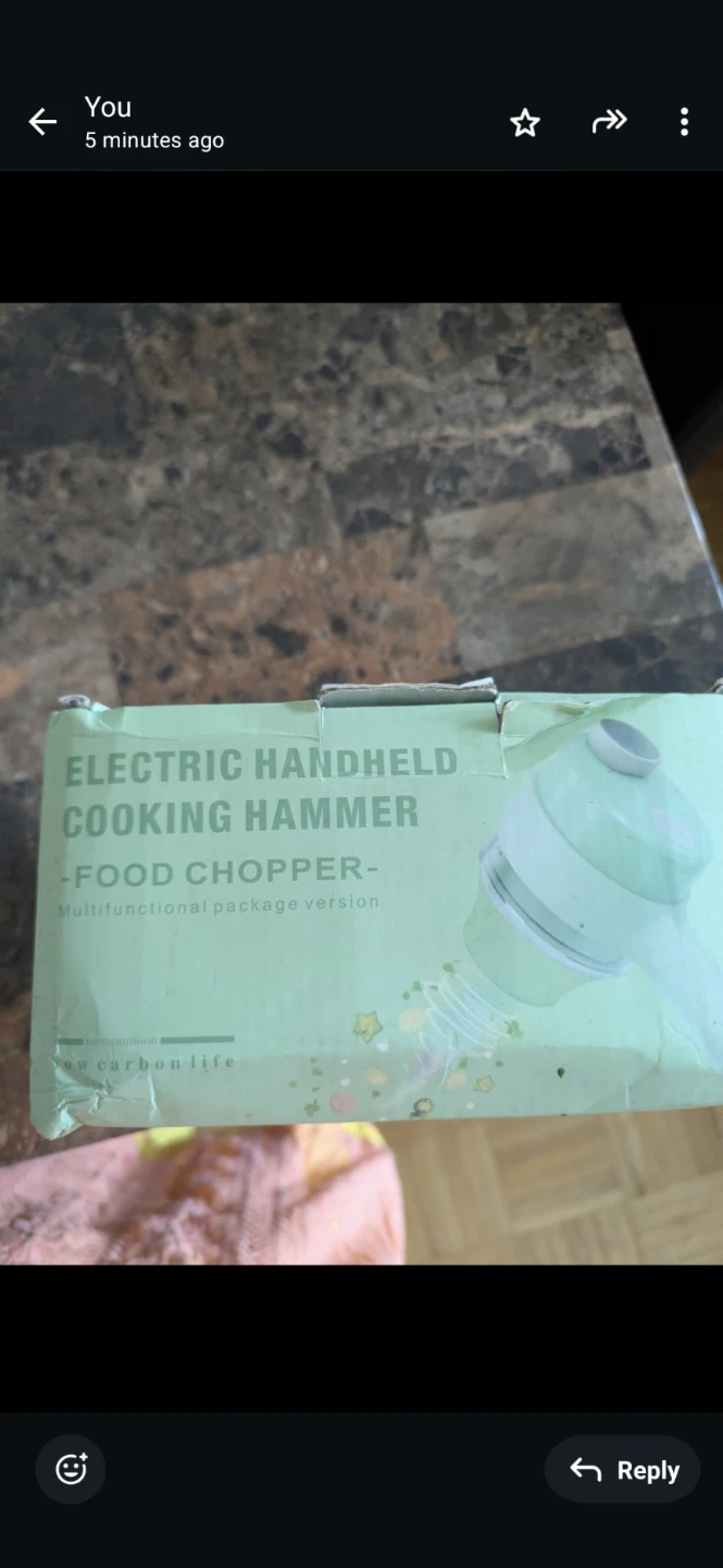 Electric Handheld Food Chopper