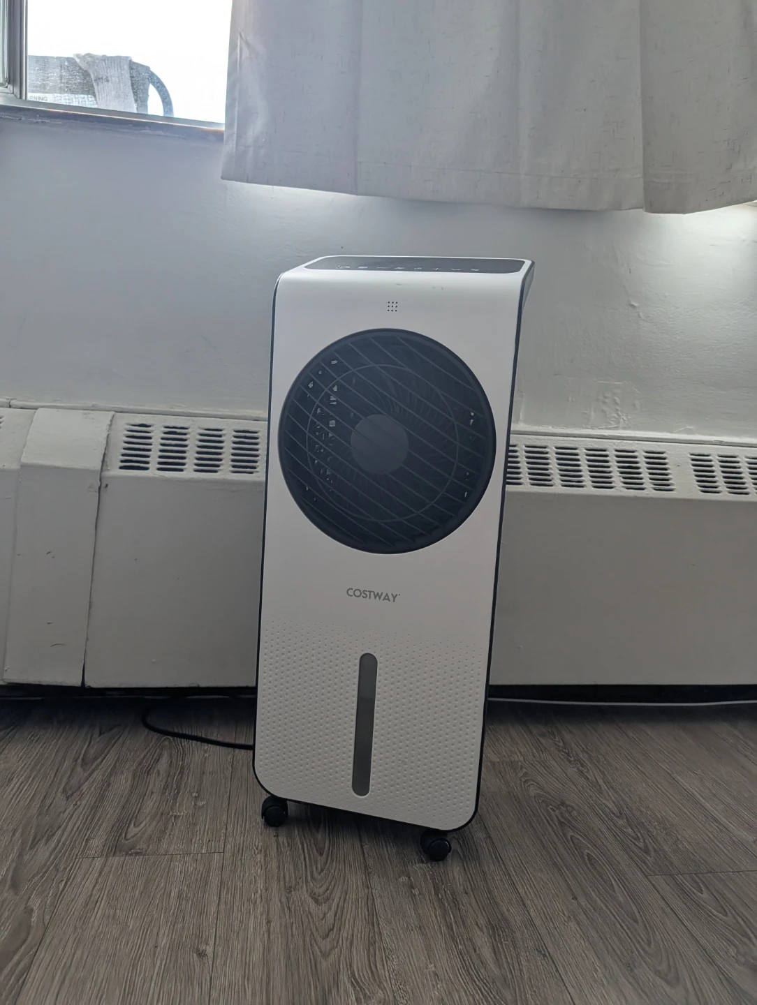 Costway Air Cooler with Remote & Ice Packs