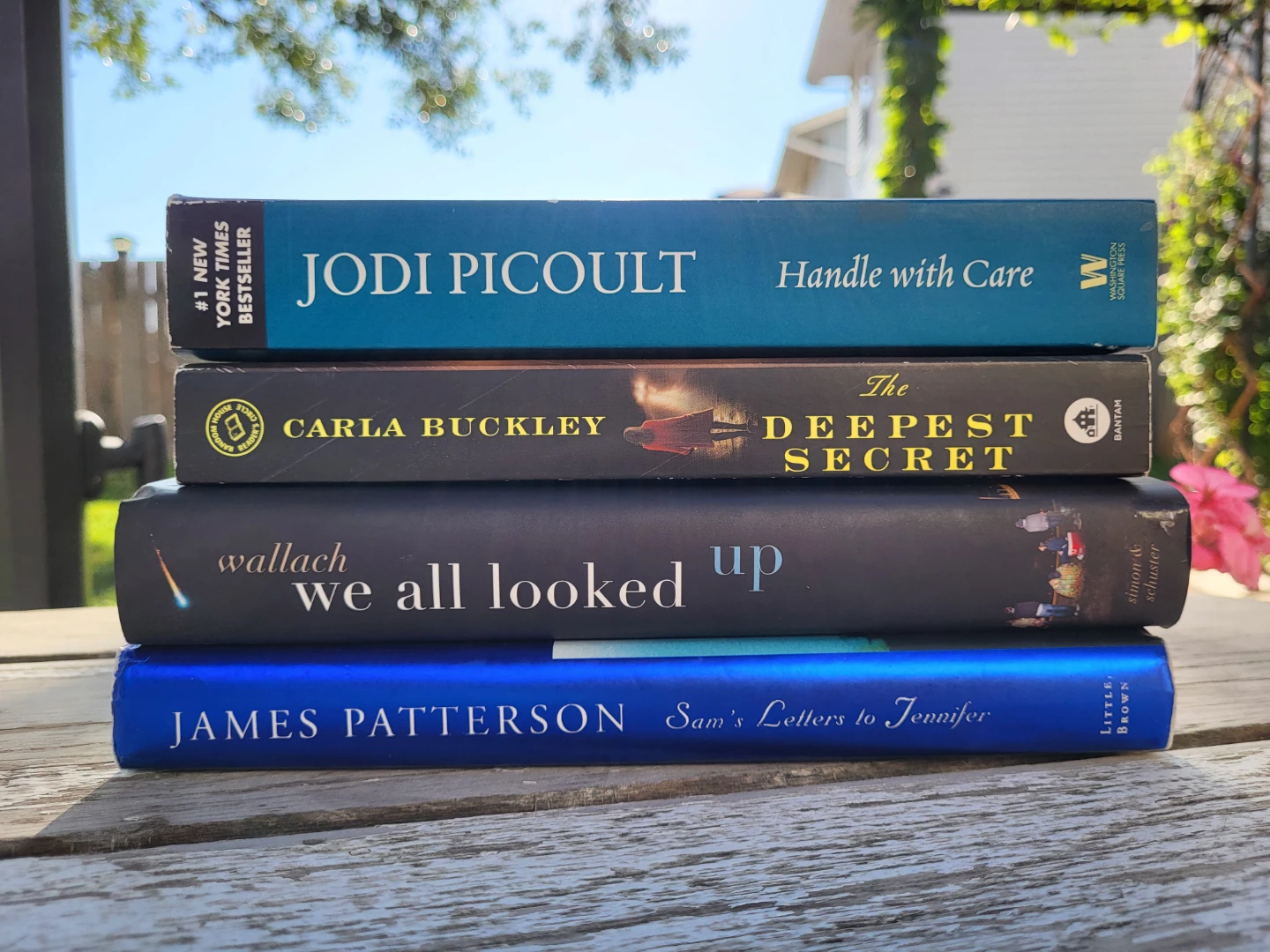 Set of 4 Fiction Novels 🏈