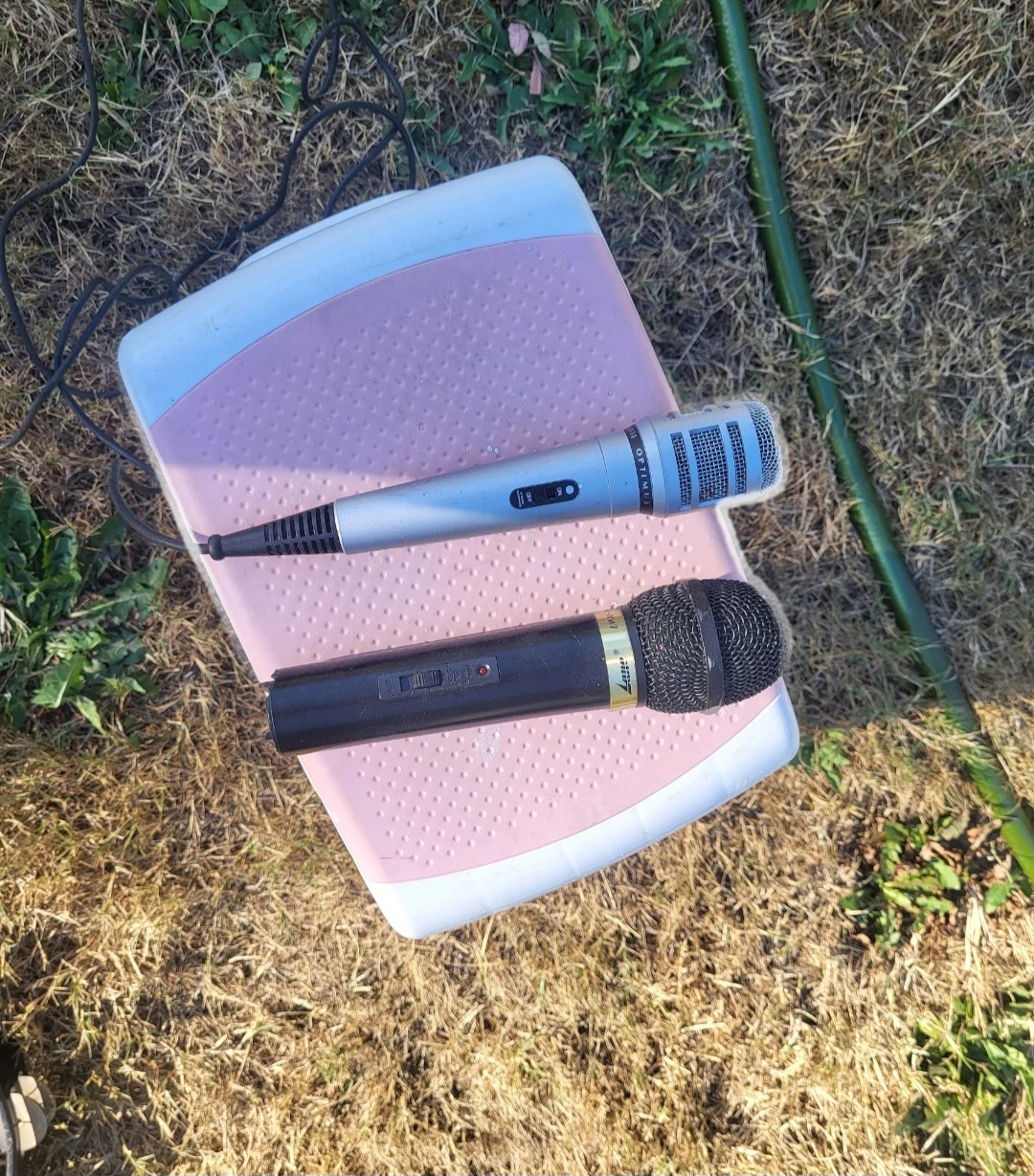 Two Dynamic Microphones Optimus and Sony