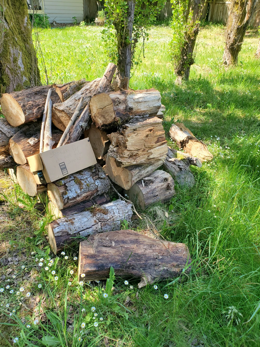 Assorted of Wood Pieces