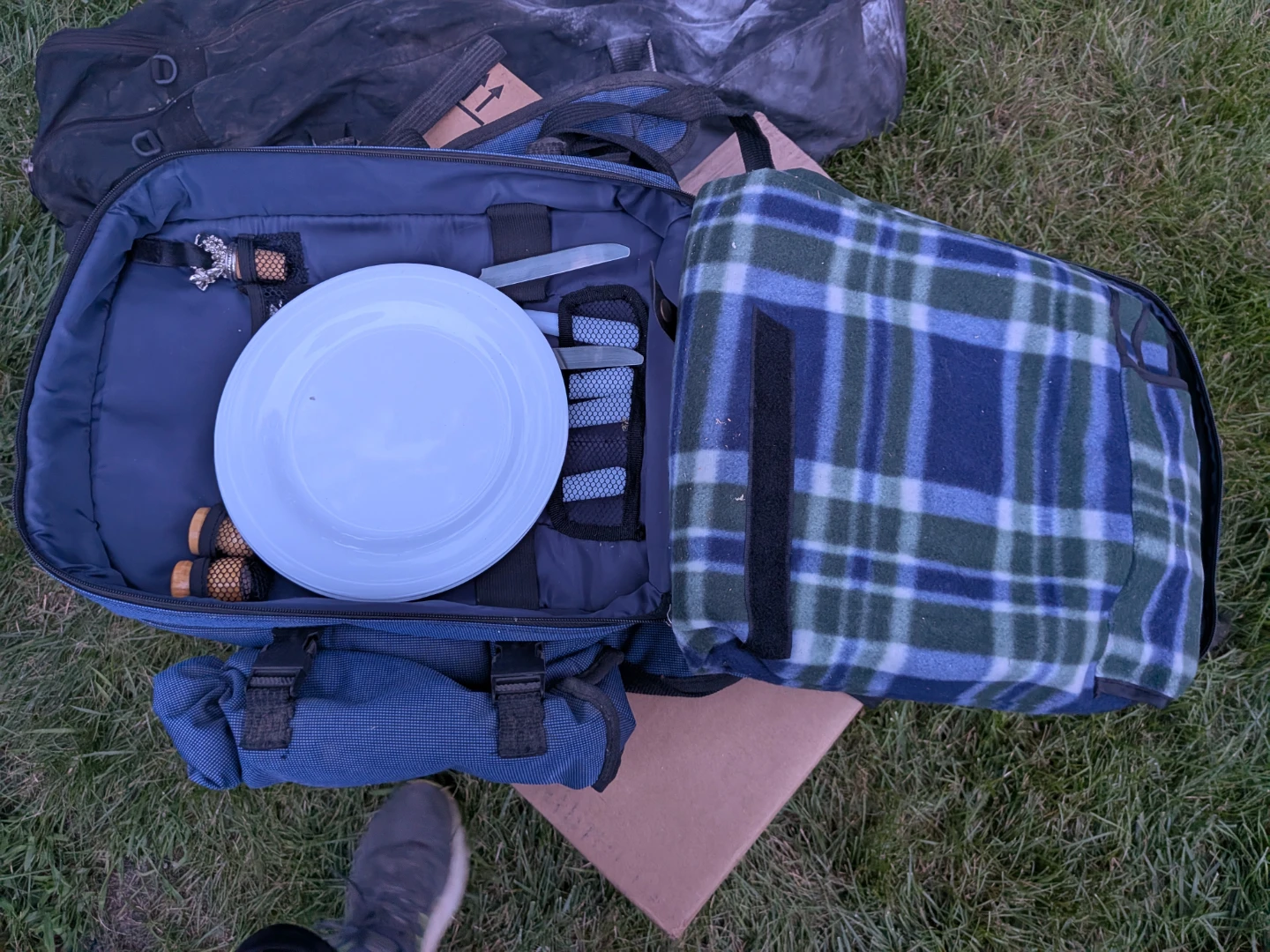Ravinia Picnic Backpack - photo 3