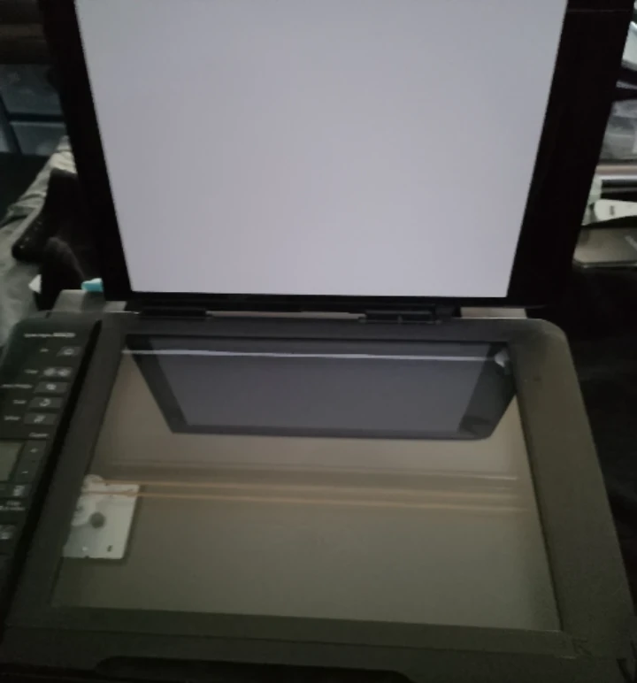 Epson Stylus NX420 Printer needs reset - photo 3