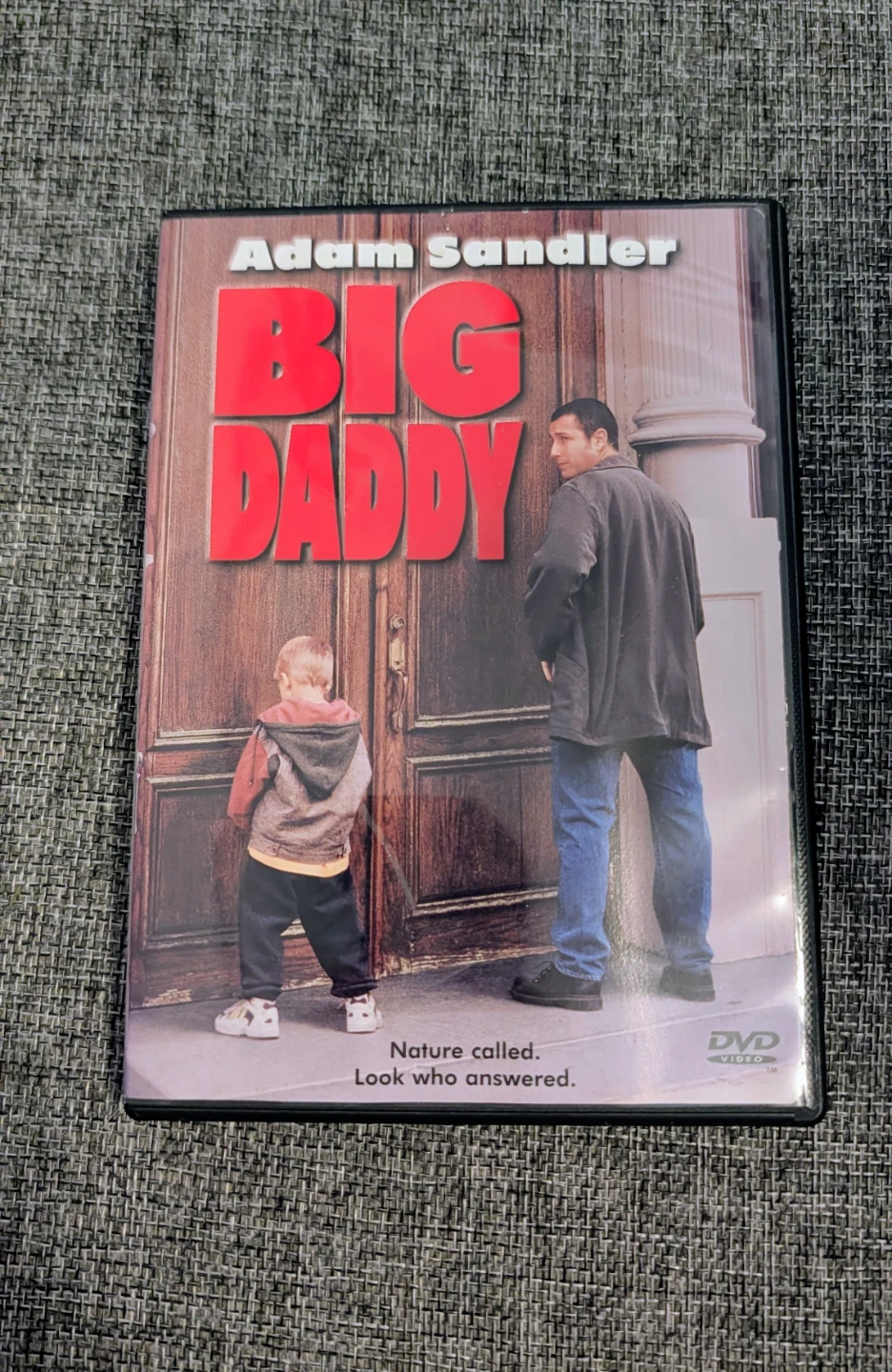 Big Daddy DVD Movie
