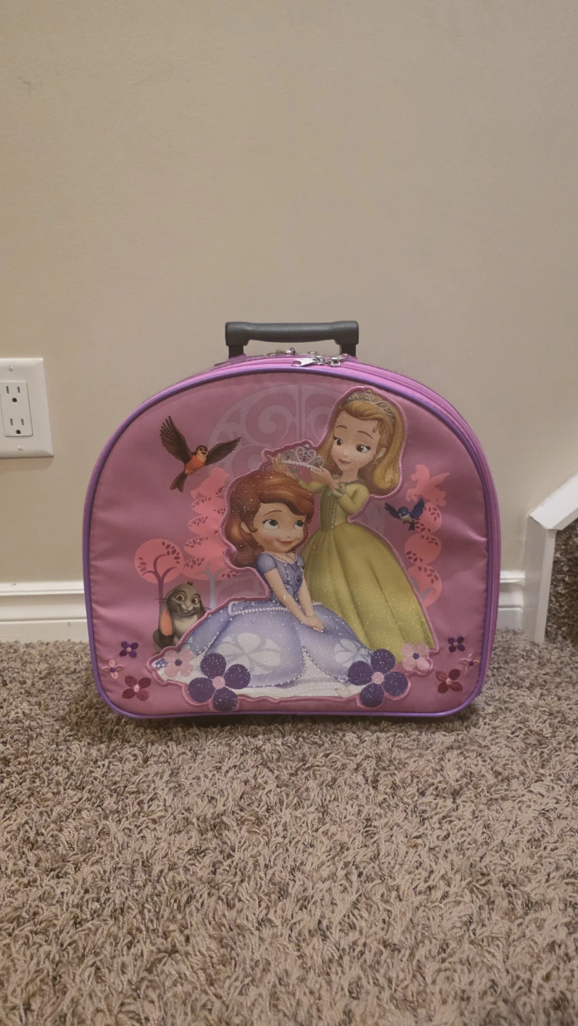 Sofia carry on bag