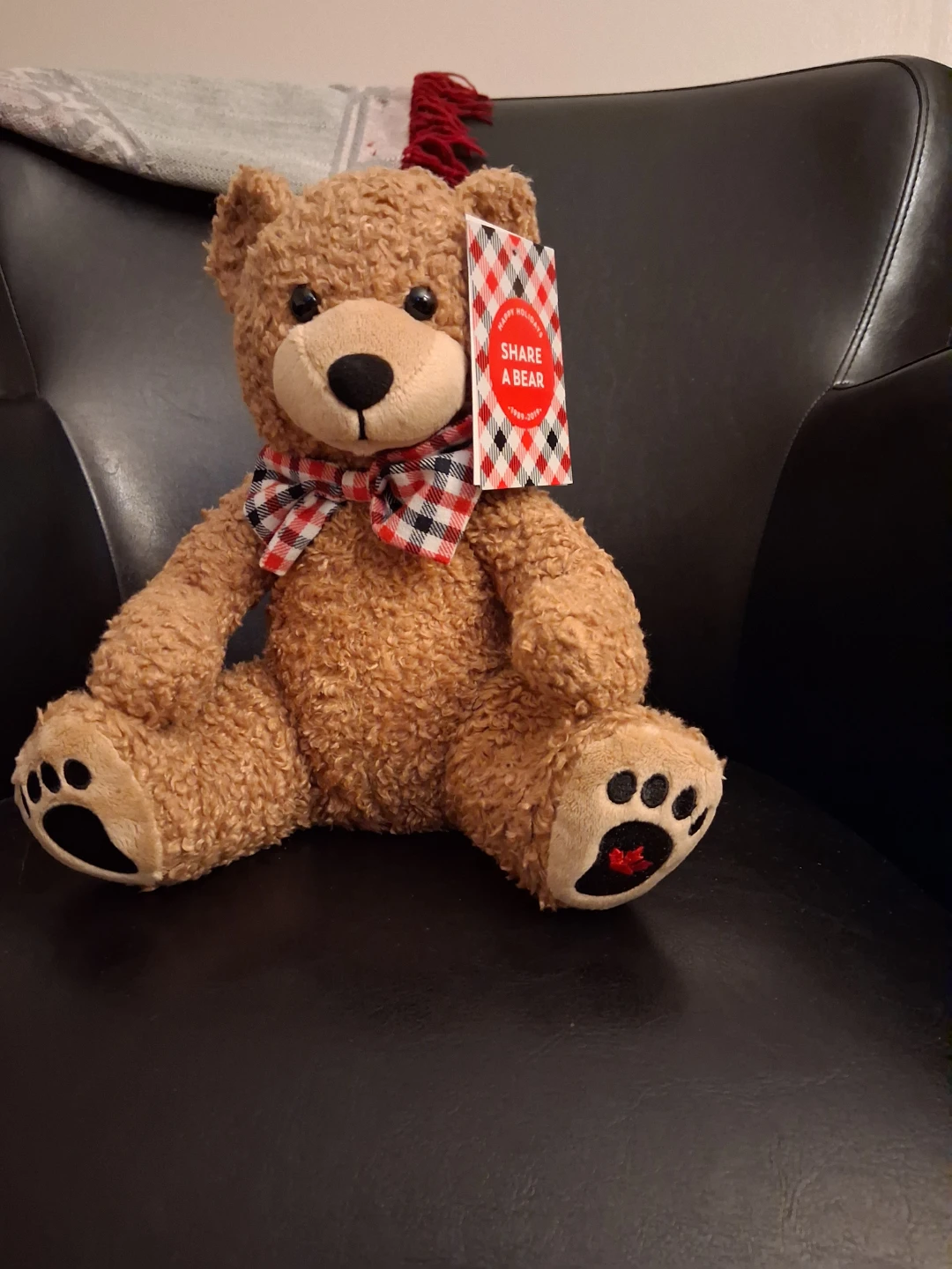 Share a Bear Plush Toy
