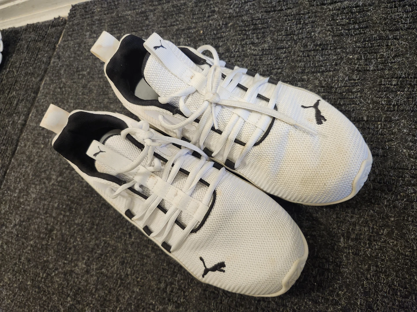 Puma White Sneakers