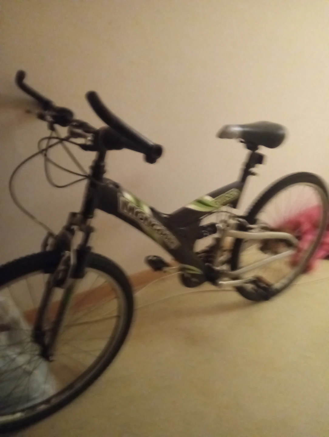Mongoose Mountain Bike