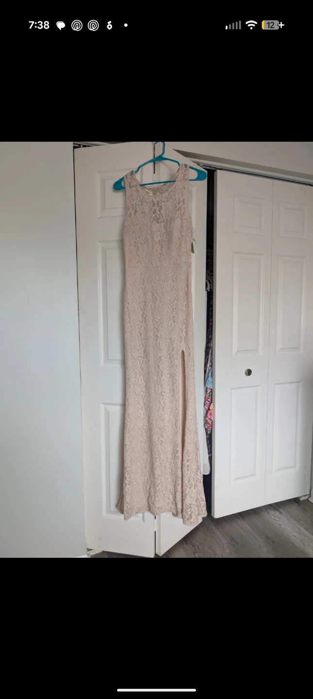 Windsor Nude Lace Gown, Size 5
