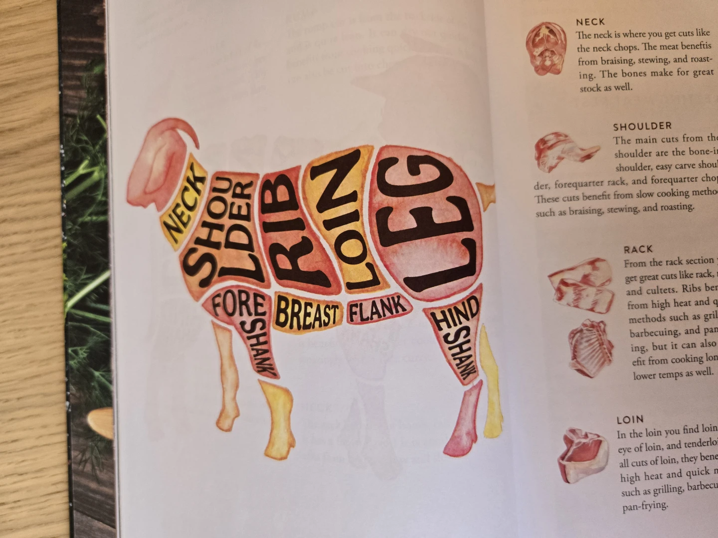 MEAT The Ultimate Cookbook - photo 5