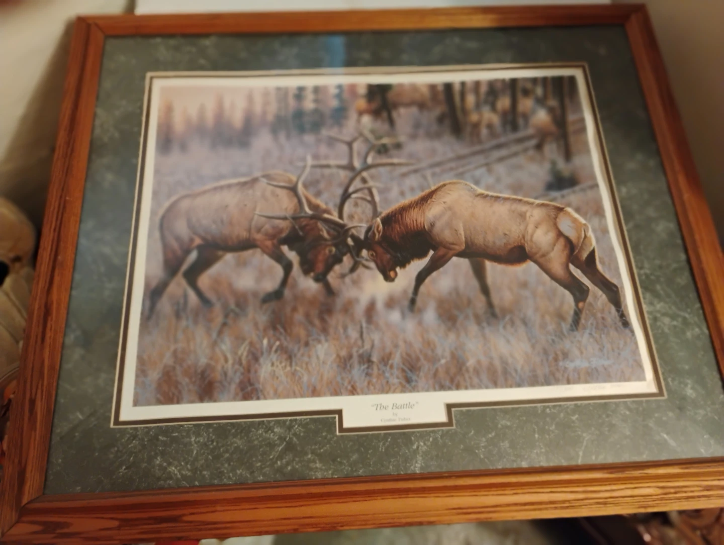 The Battle by Cynthie Fisher Framed Art - photo 2