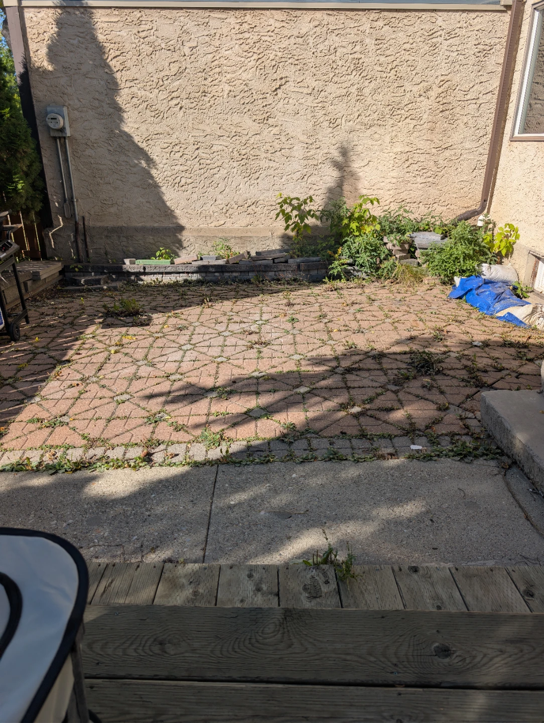 Brick for free