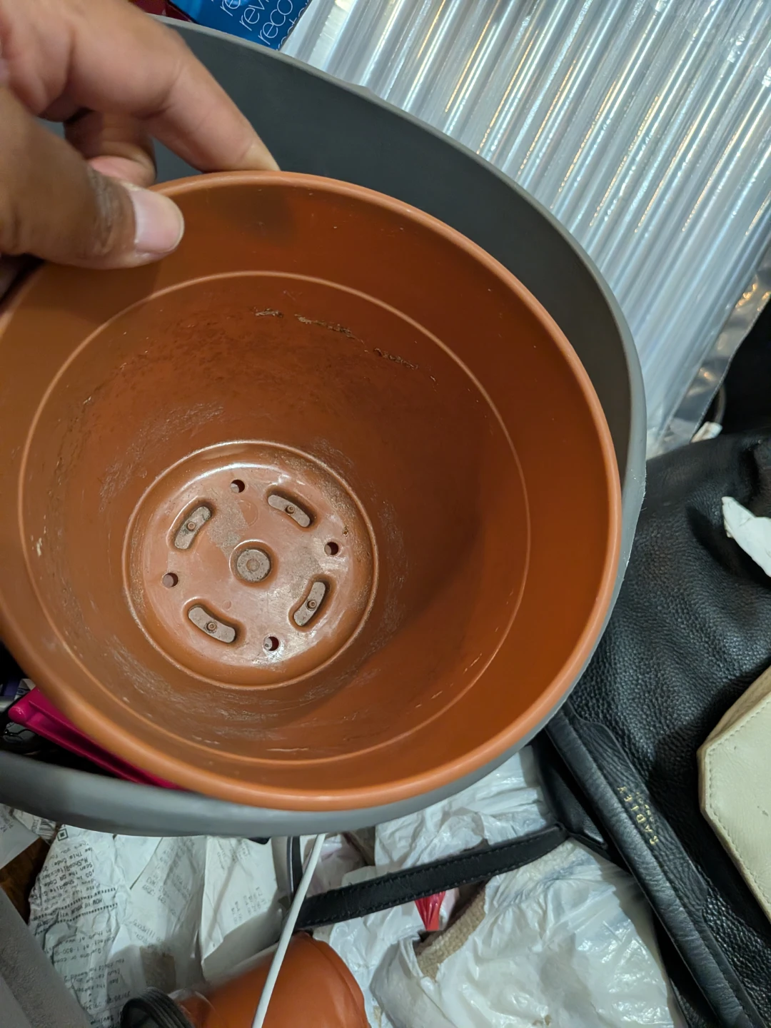 Bloem Living Dayton Terra Cotta Planter 15cm