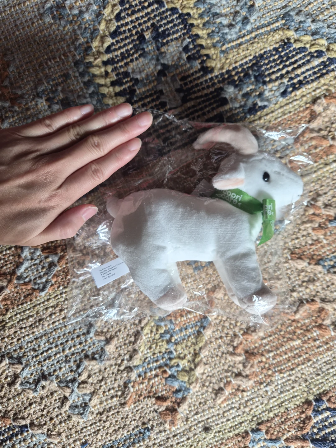 Capricare stuffed goat