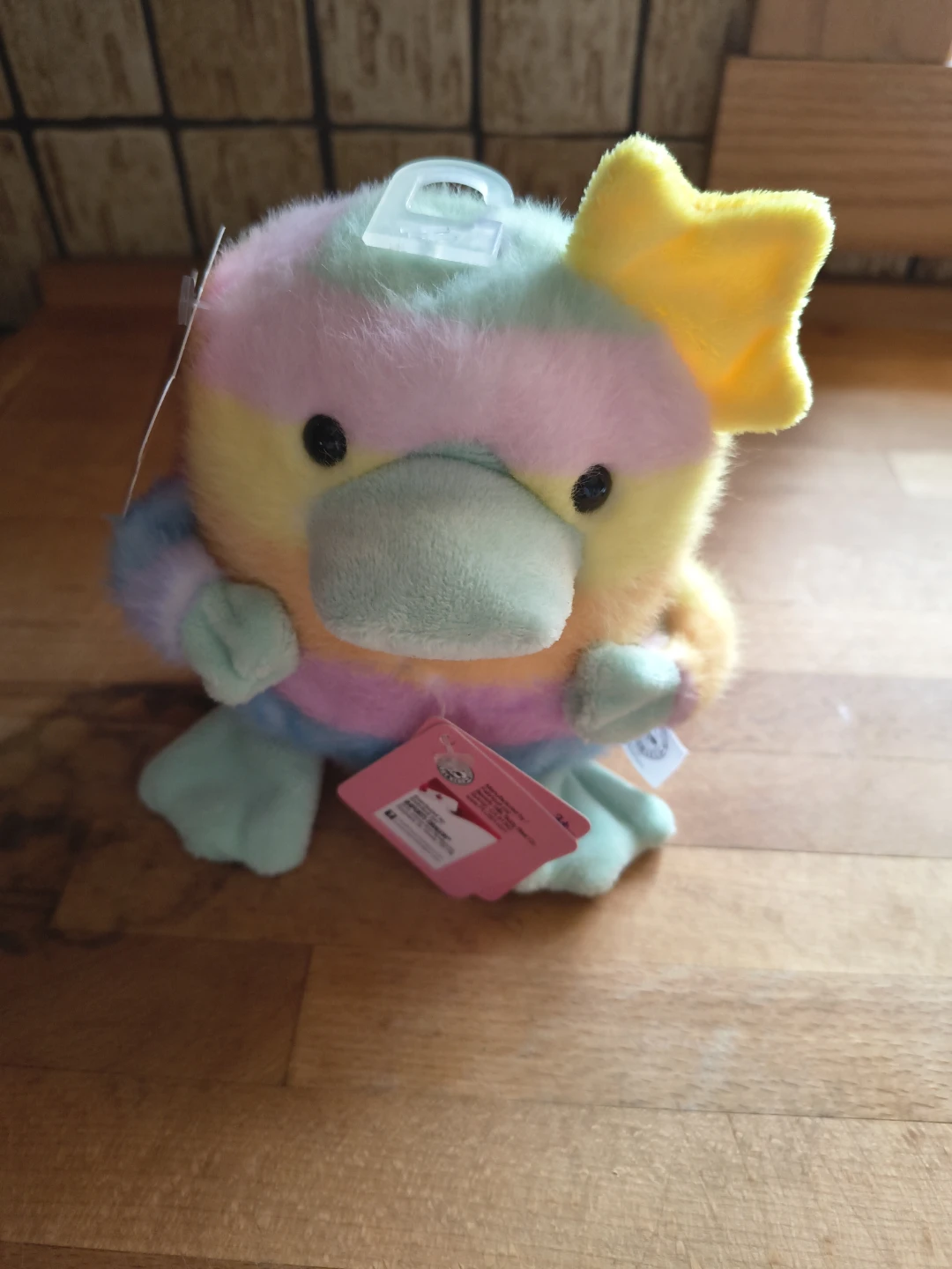 NEW ITEM   Rainbow Platypus Plush