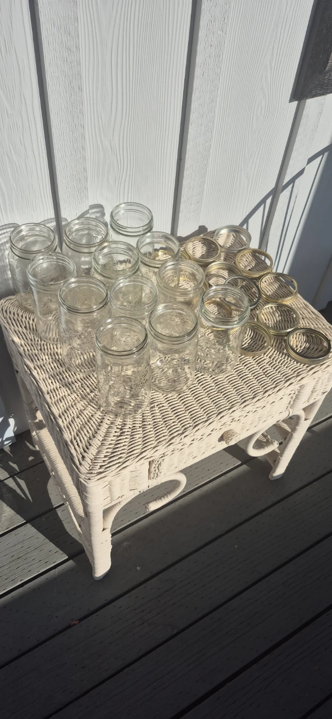 Set of 12 Mason Jars with Rings