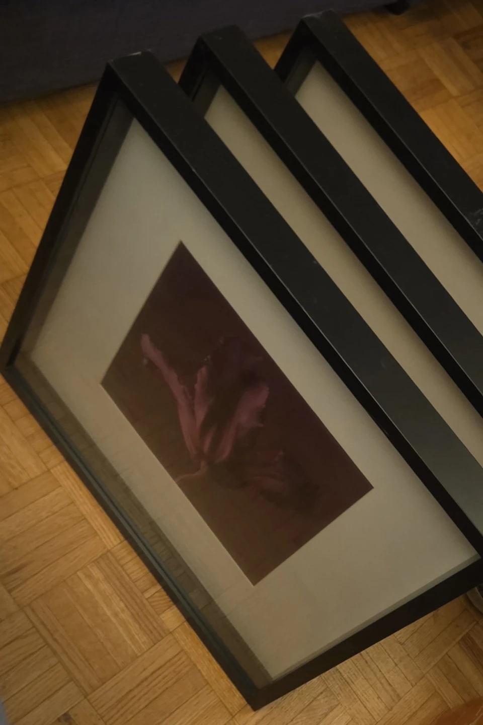 Set of 3 IKEA Ribba Framed Floral Prints - photo 4