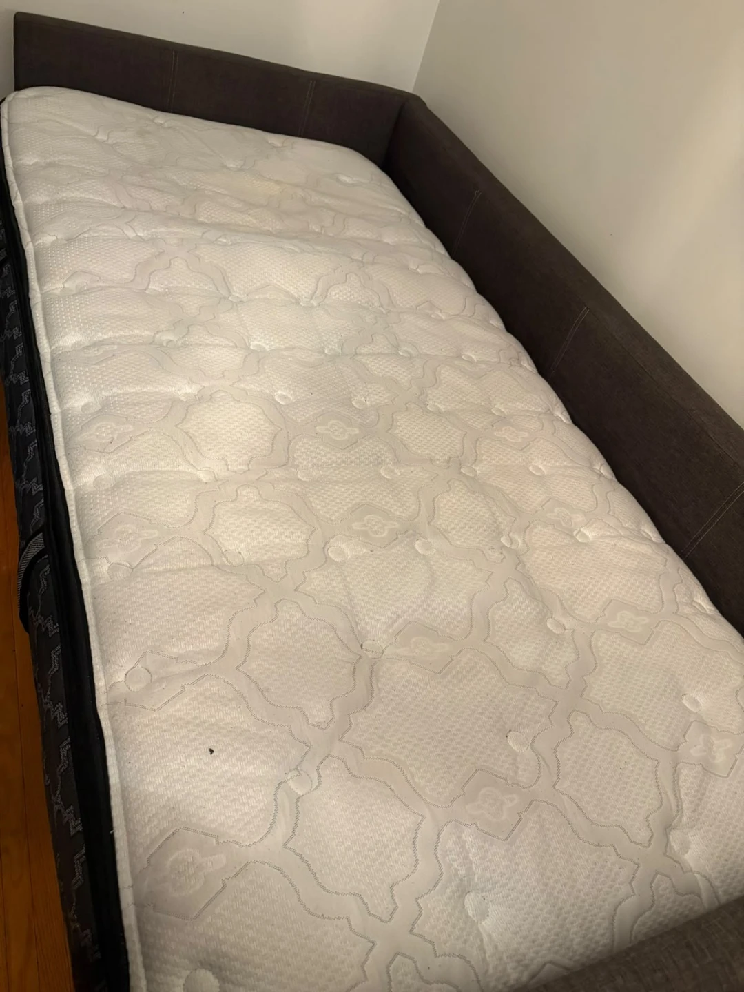 Daybed with Trundle
