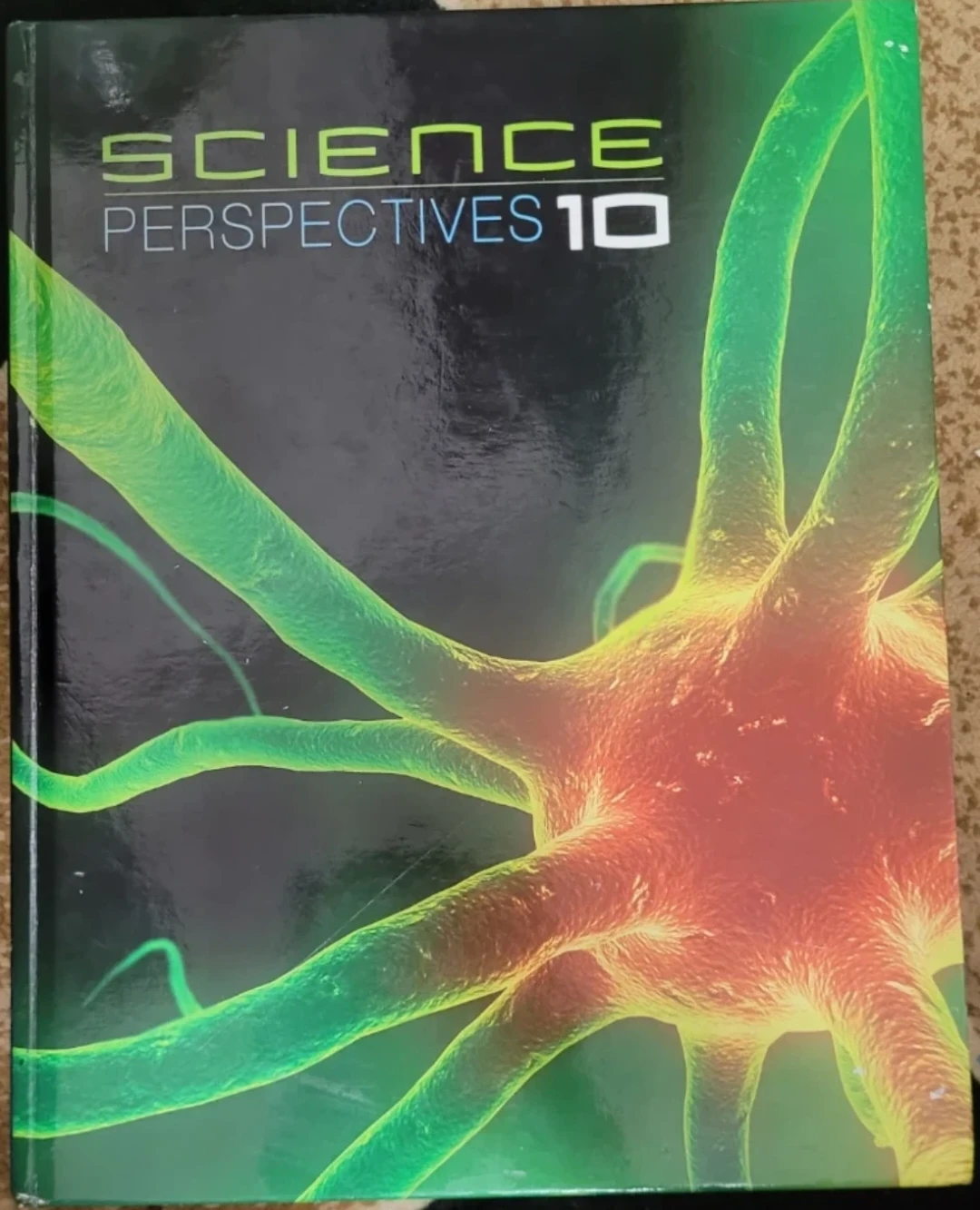 Grade 10 Science perspectives book