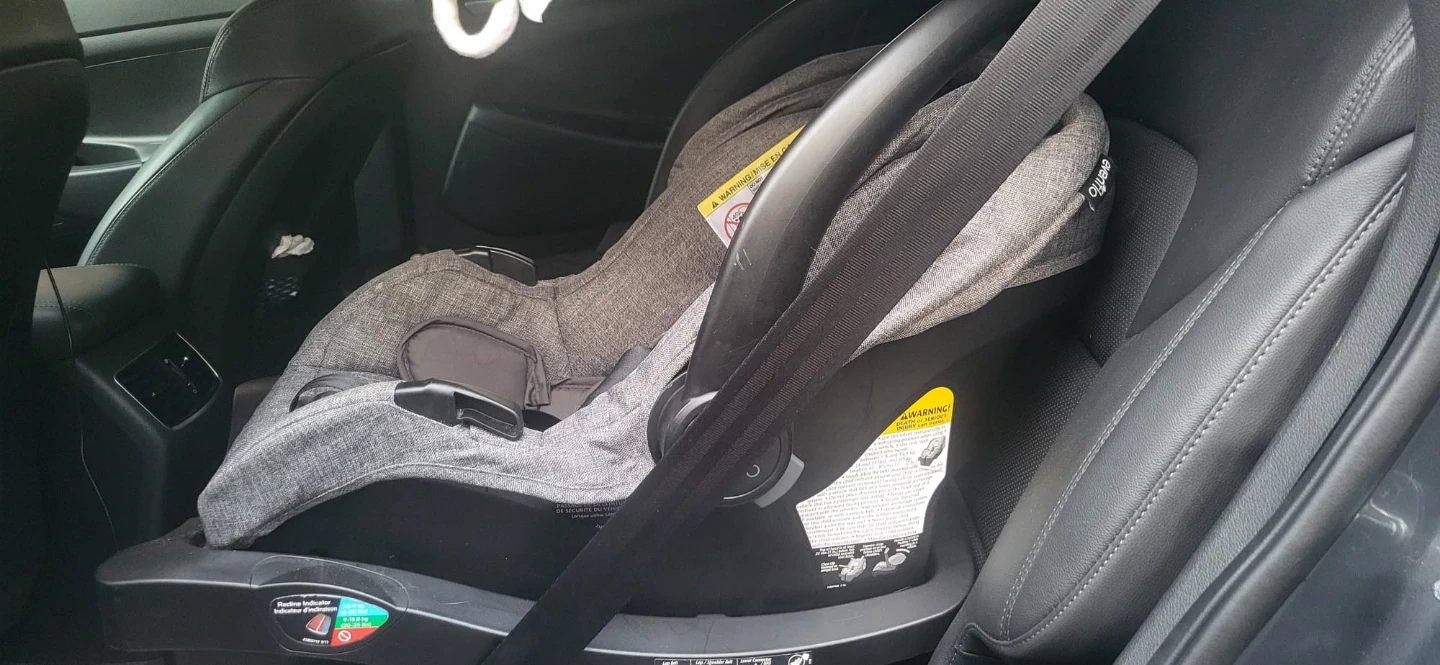 Evenflo LiteMax Sport Infant Car Seat - photo 3